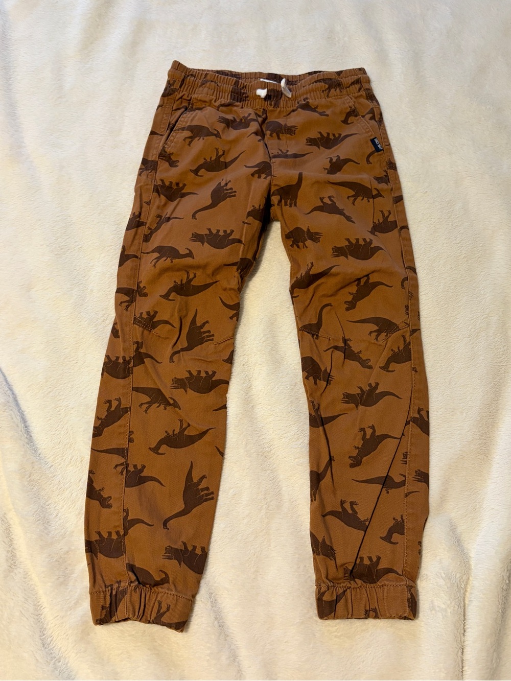 H&M Brown Dinosaur Jogger Pants